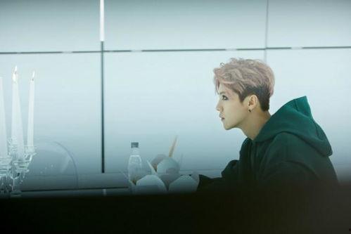 鹿晗爆料视频在线观看,独家爆料视频带你领略明星幕后生活