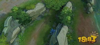 王者植物最新爆料,神秘植物登场，绿色战场再掀风云